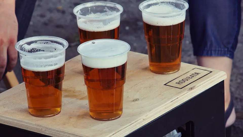 Four Filled Cups of Treehouse Brewery Beverage on a Wooden Mini Table at a Picnic