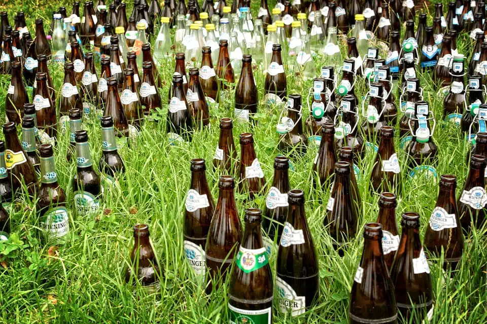 Many Empty Bottles of Beer Left at the Grasses near the Treehouse Brewery after an event