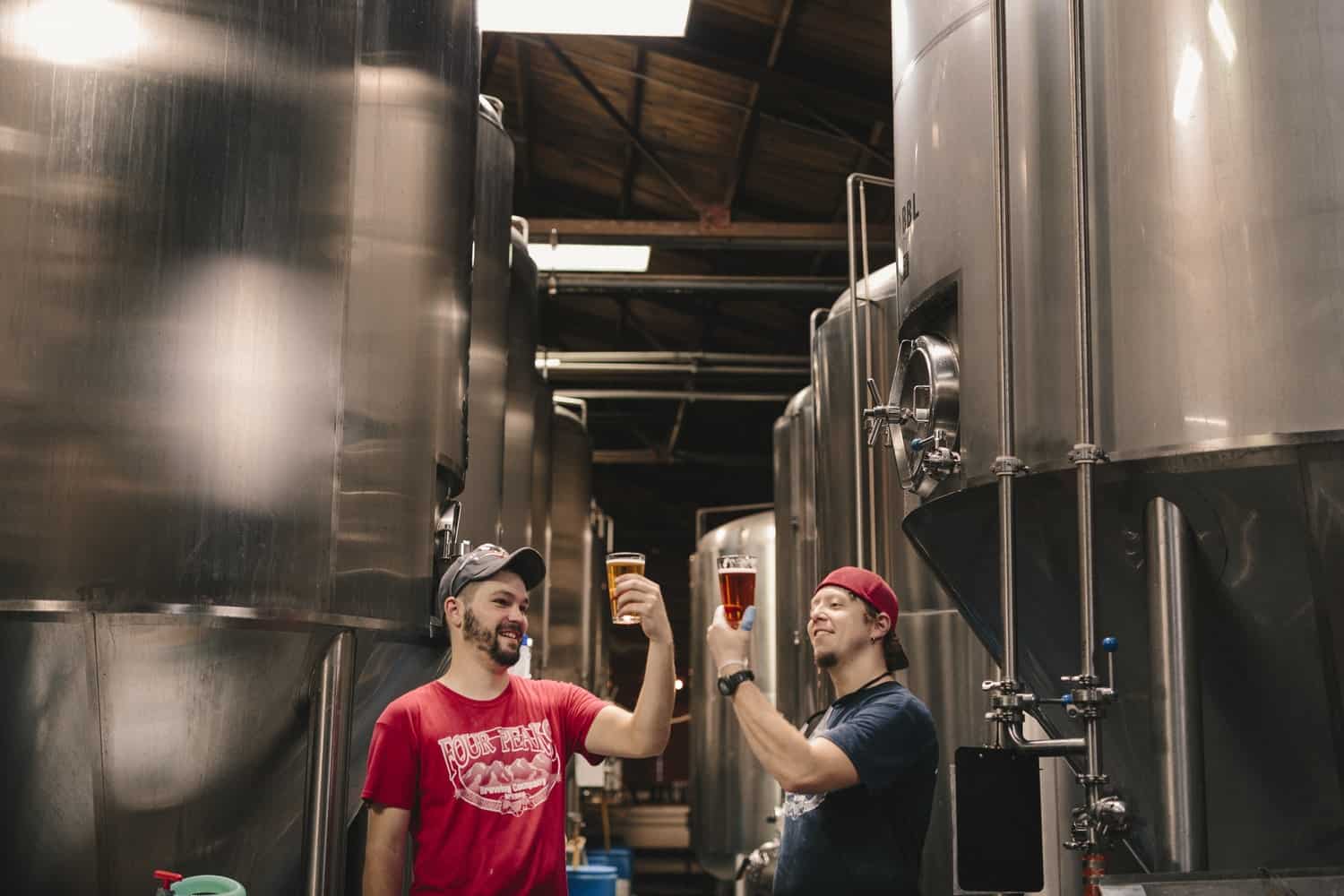 two men having a toast with glass of beer