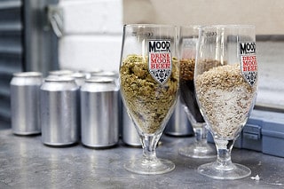 beer INGREDIENTS