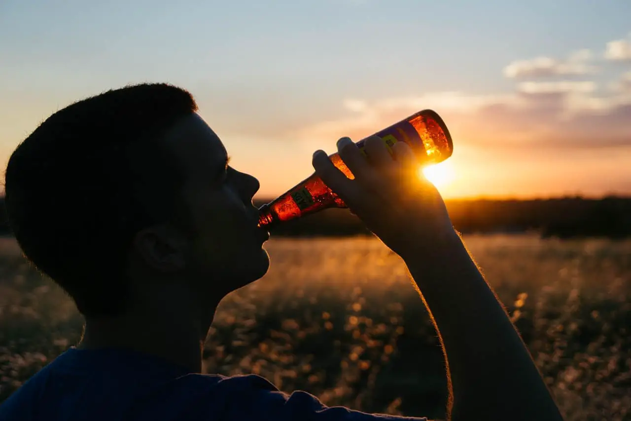 drinking beer in a field at sunset; types of beer