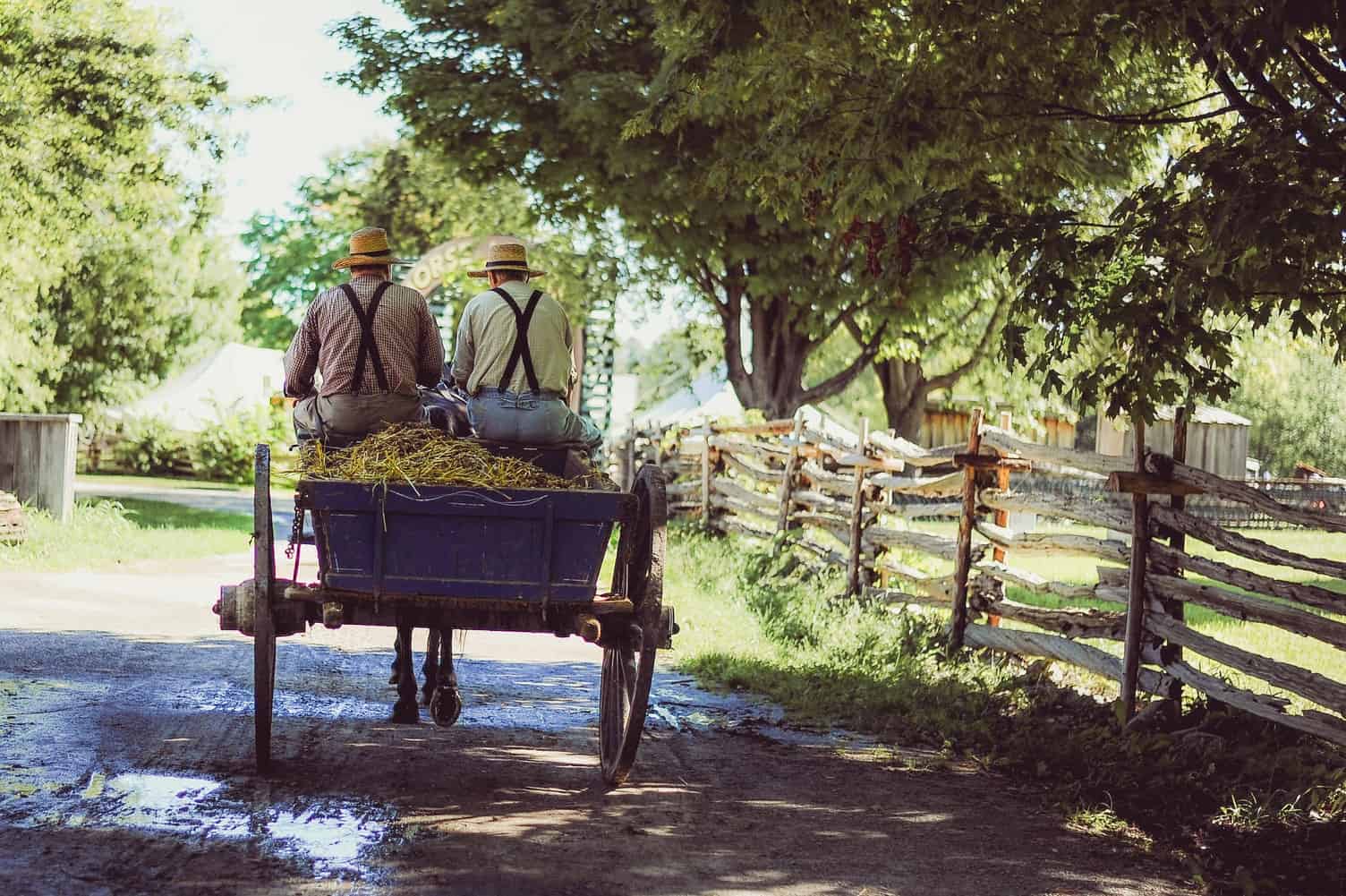 farmers on a wagon; types of beer